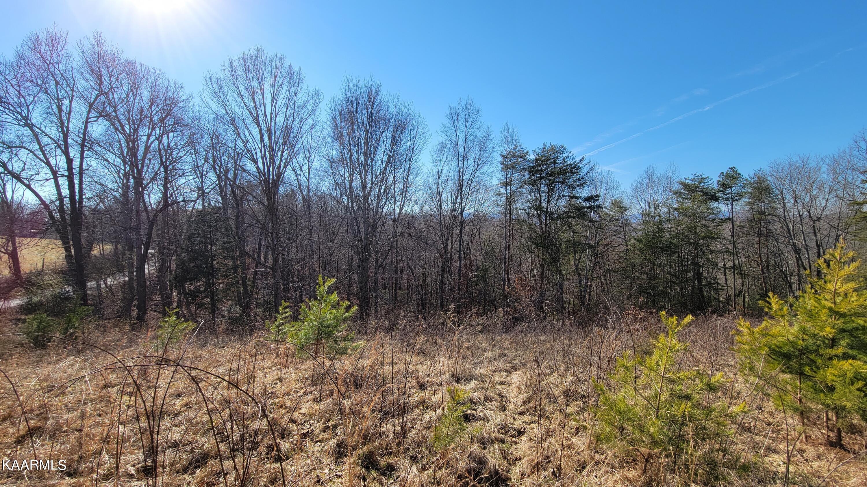 Chestnut Stump Road La Follette, TN 37766 - Photo 33 of 40 26