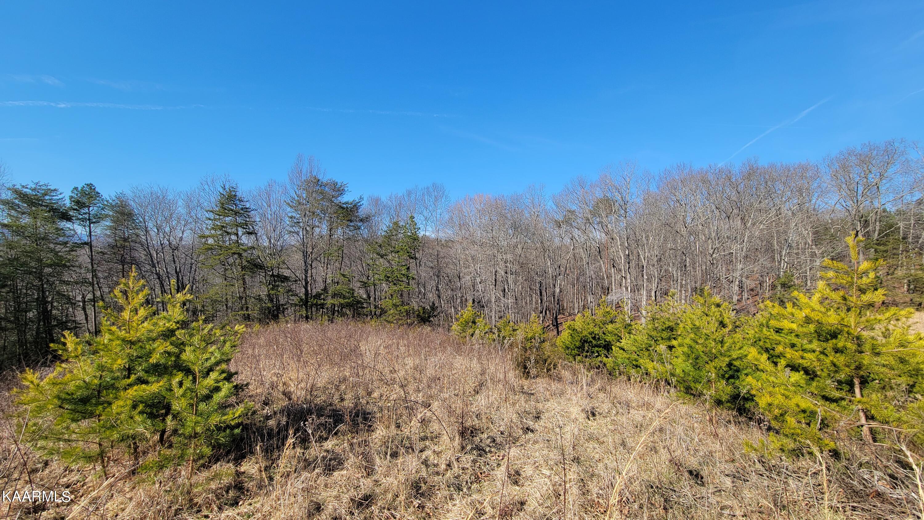 Chestnut Stump Road La Follette, TN 37766 - Photo 34 of 40 27