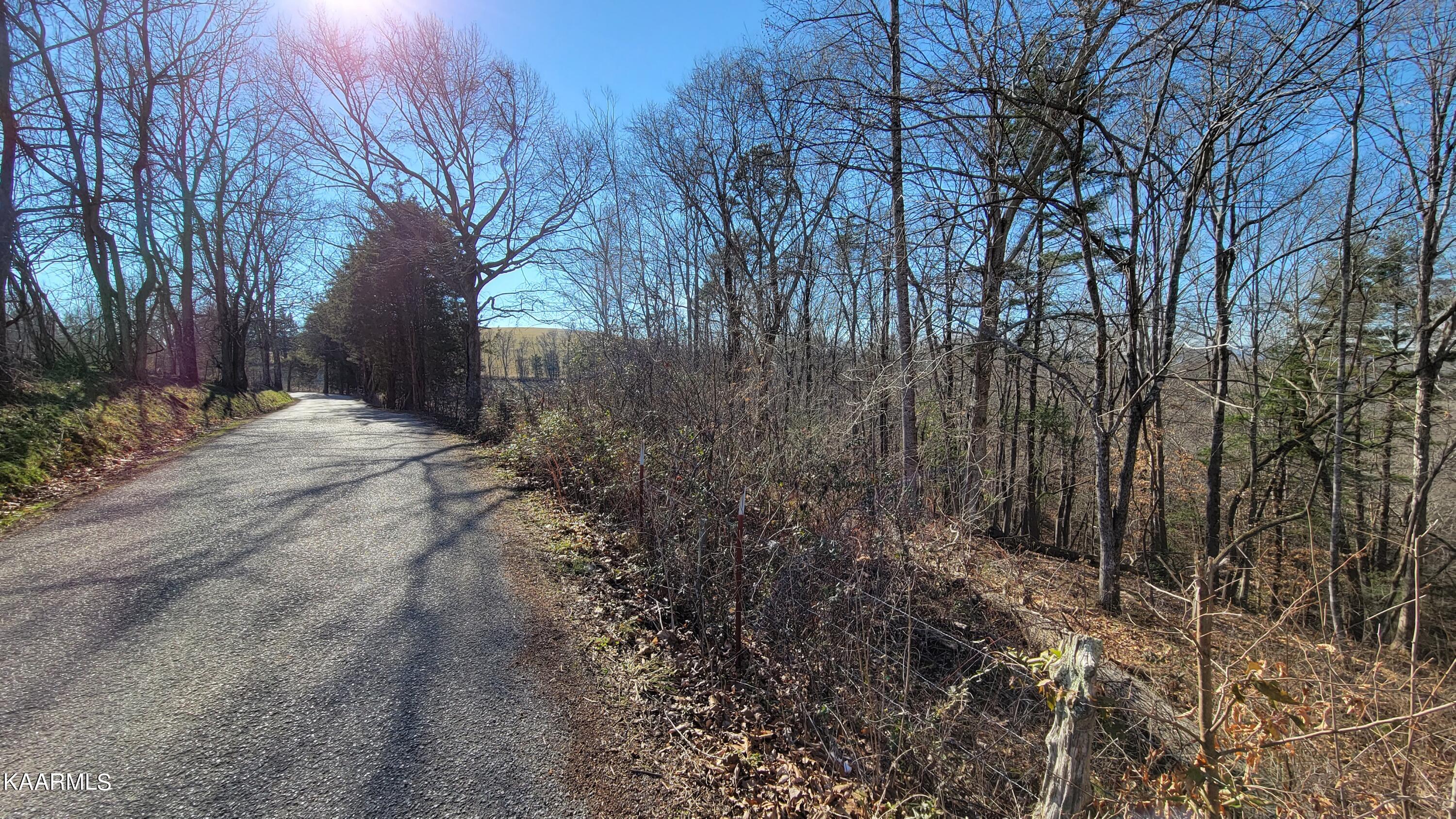 Chestnut Stump Road La Follette, TN 37766 - Photo 35 of 40 28