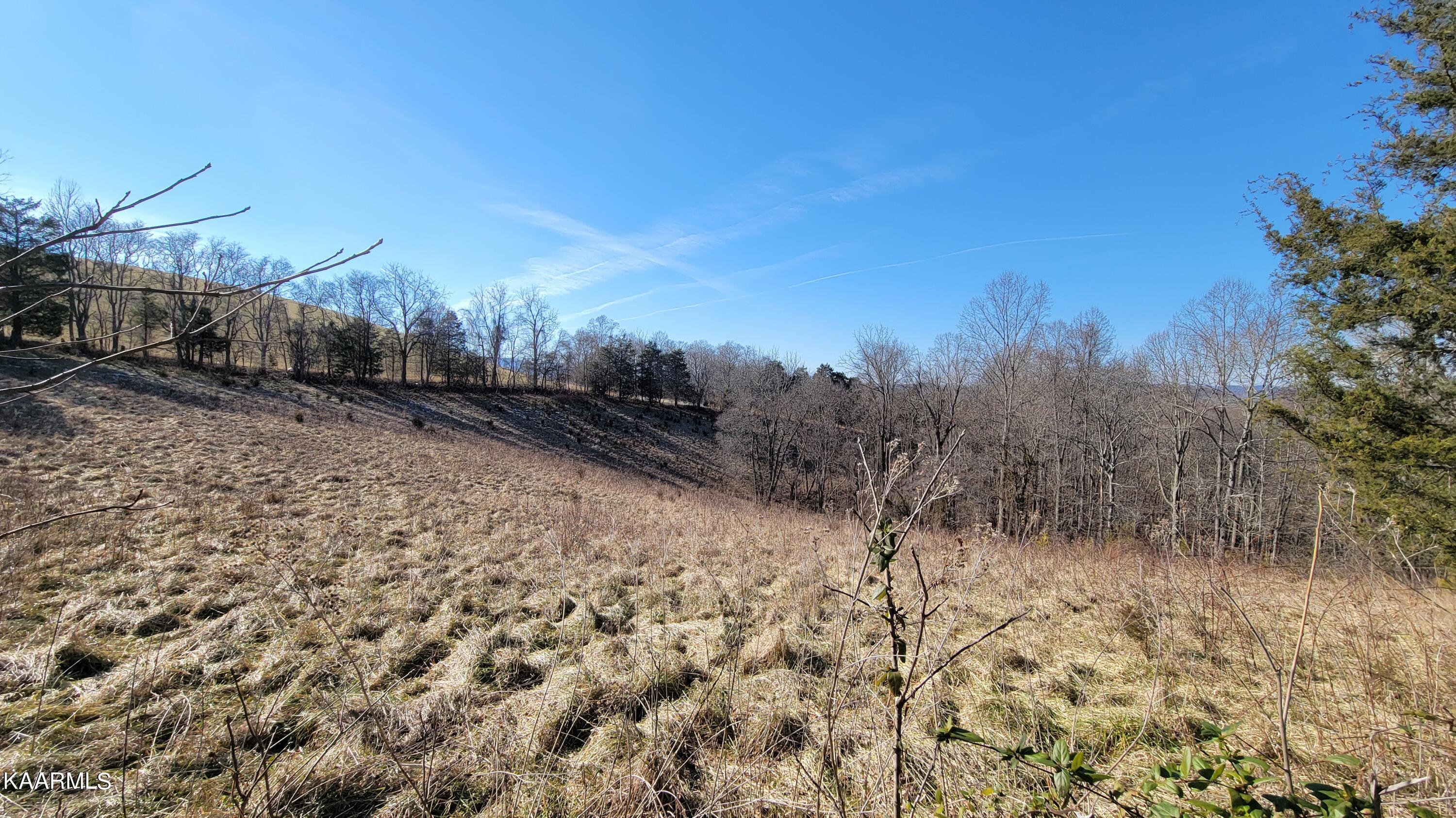 Chestnut Stump Road La Follette, TN 37766 - Photo 36 of 40 29