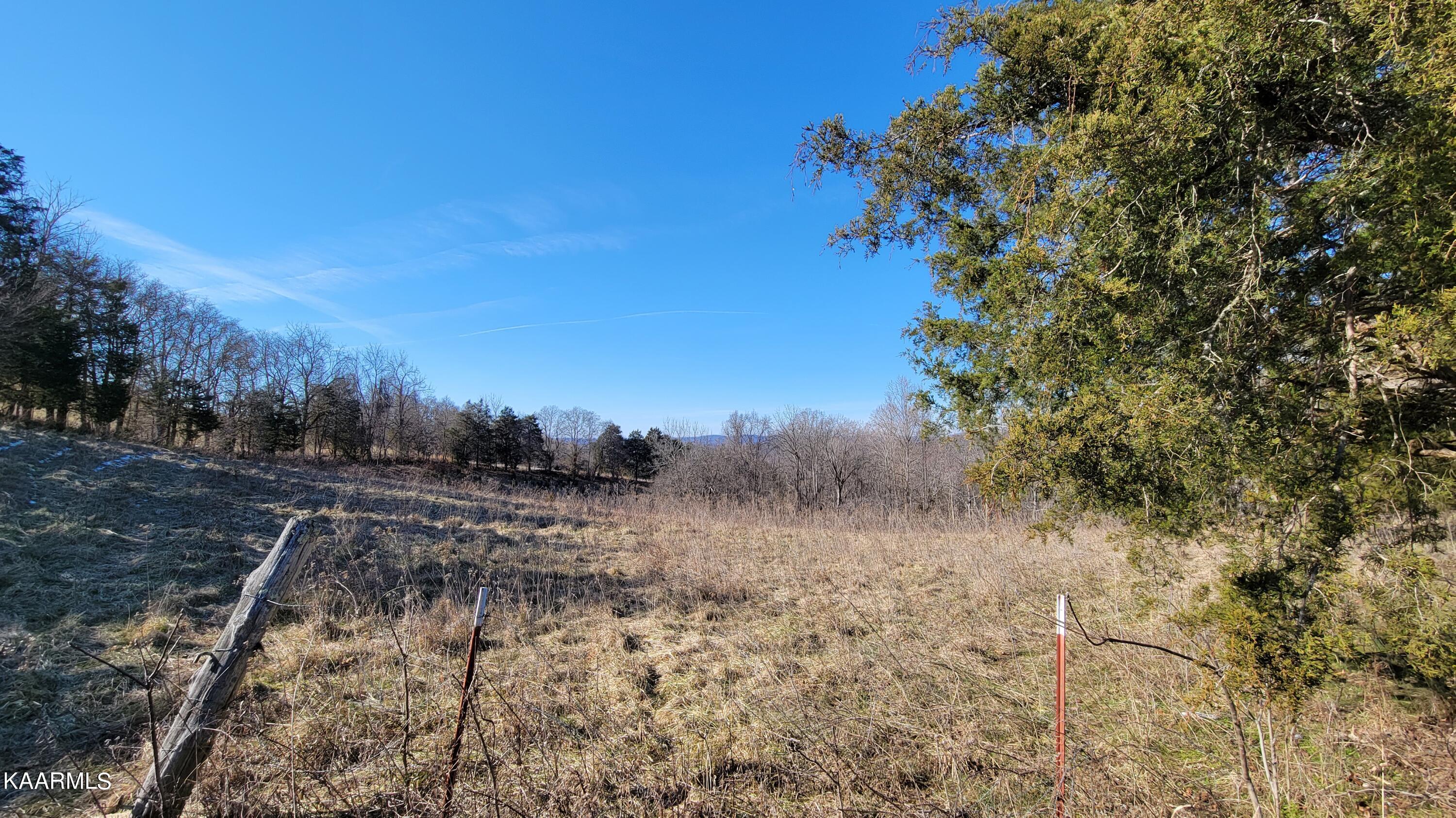 Chestnut Stump Road La Follette, TN 37766 - Photo 37 of 40 30