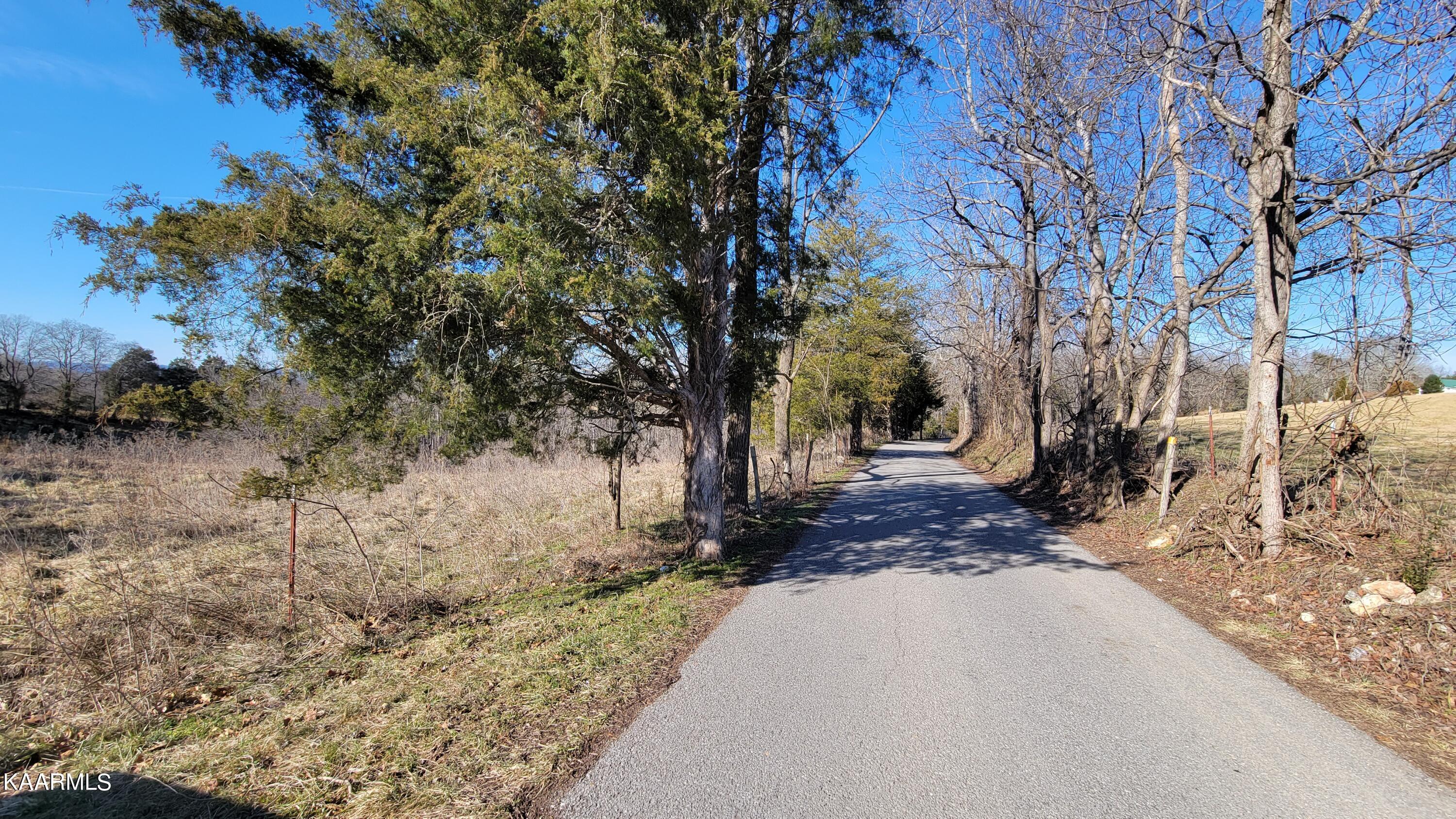 Chestnut Stump Road La Follette, TN 37766 - Photo 38 of 40 31