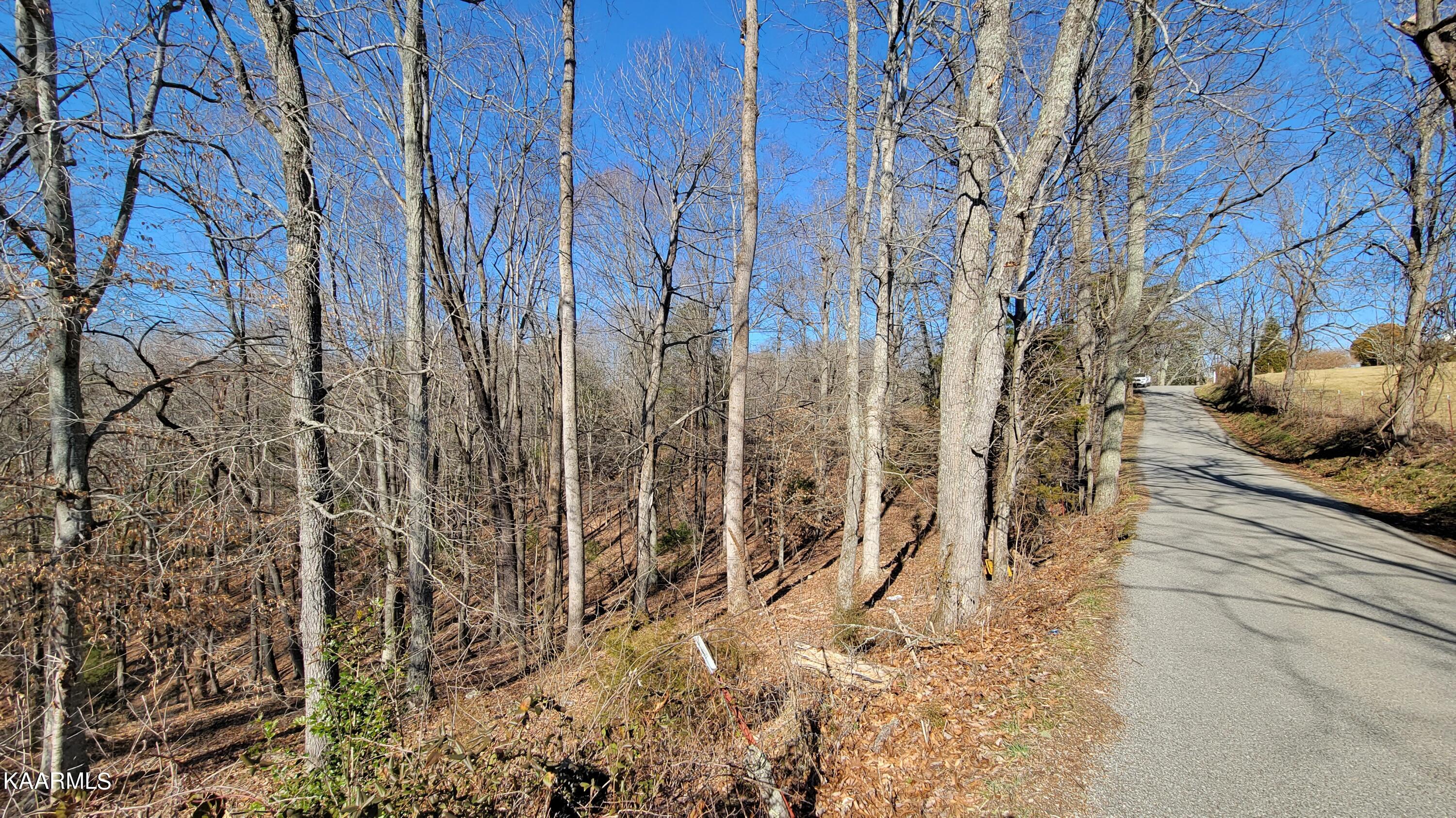 Chestnut Stump Road La Follette, TN 37766 - Photo 39 of 40 32