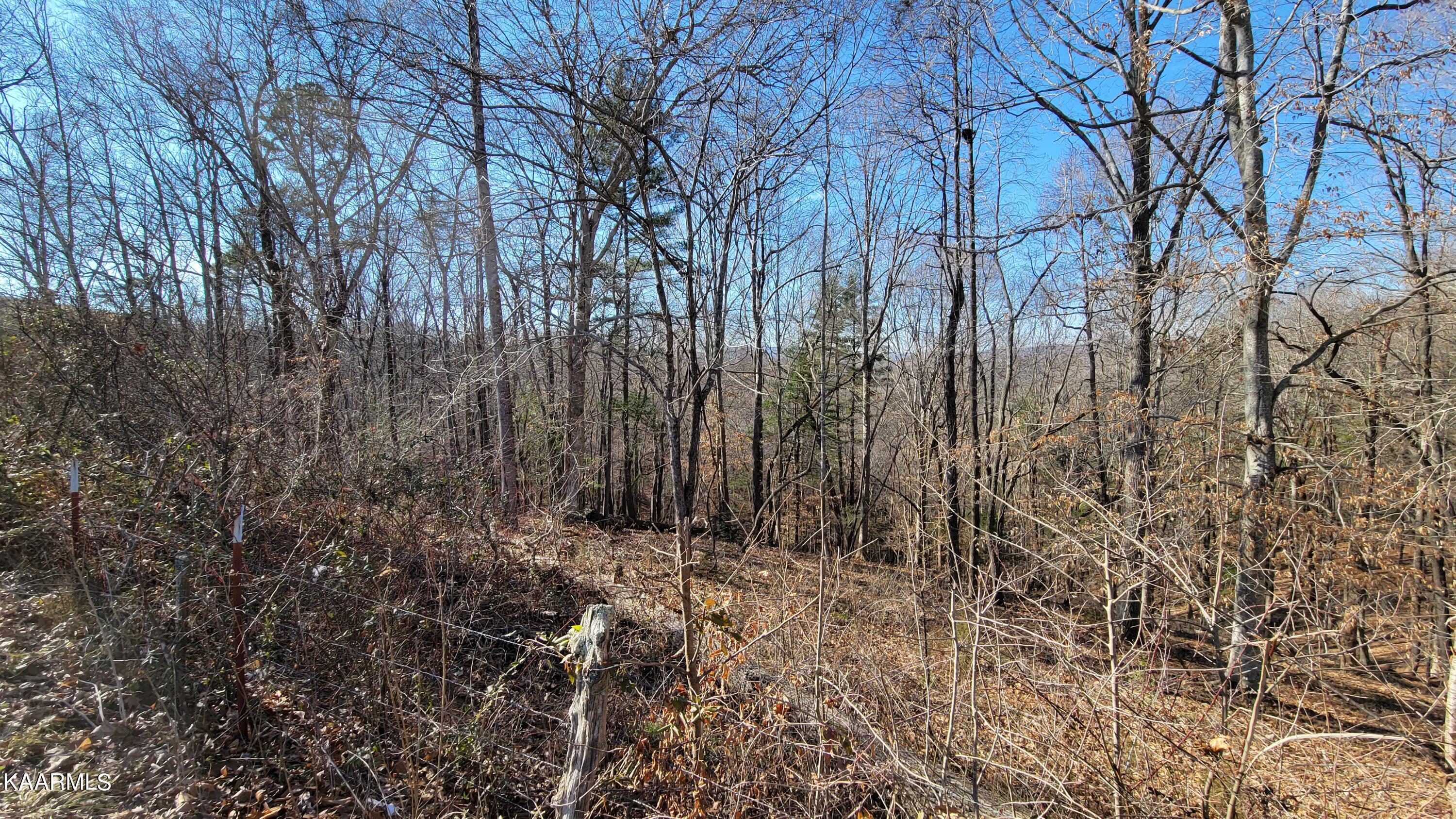 Chestnut Stump Road La Follette, TN 37766 - Photo 40 of 40 33