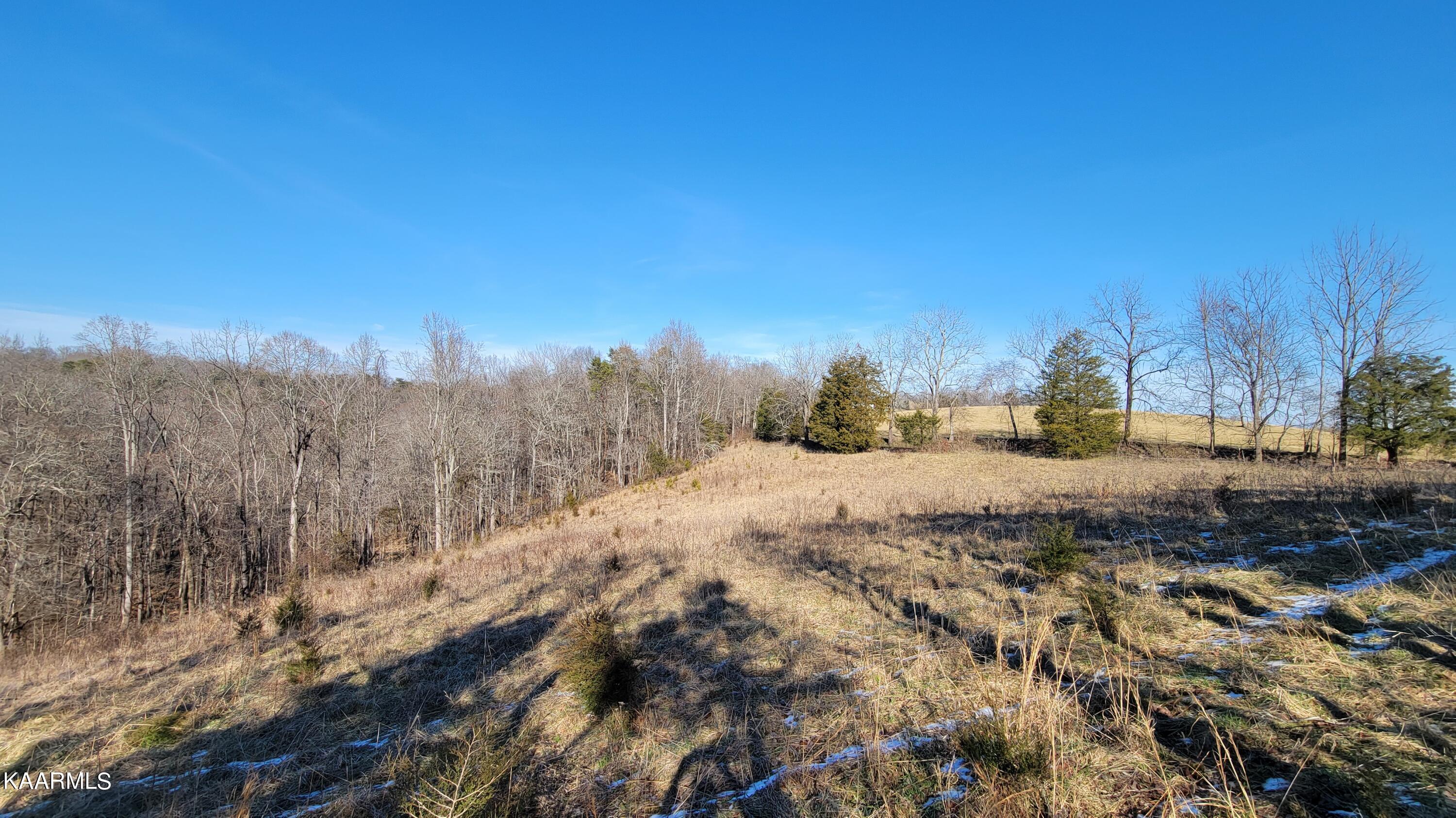Chestnut Stump Road La Follette, TN 37766 - Photo 4 of 40 4