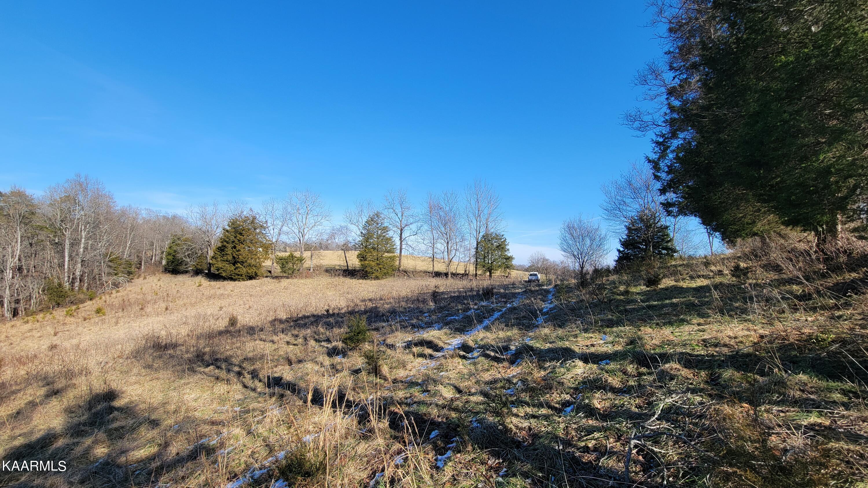 Chestnut Stump Road La Follette, TN 37766 - Photo 5 of 40 5