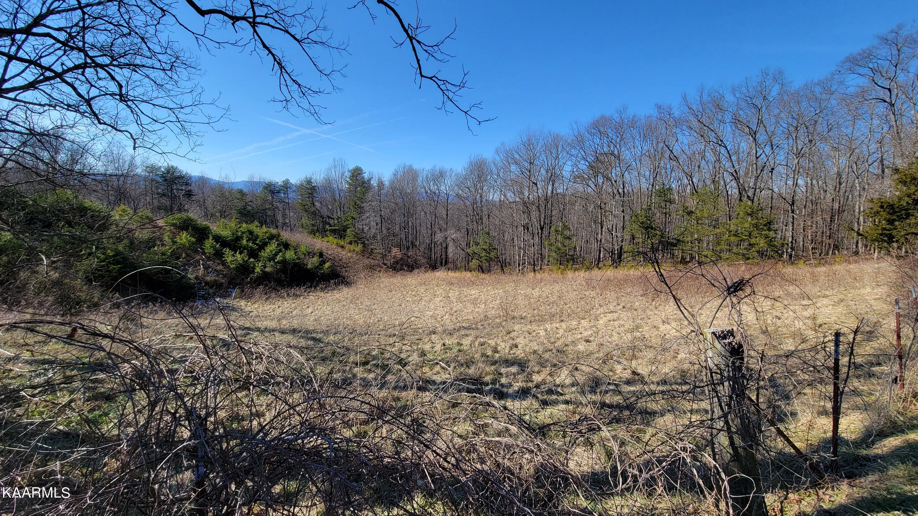 Chestnut Stump Road La Follette, TN 37766 - Photo 6 of 40 6