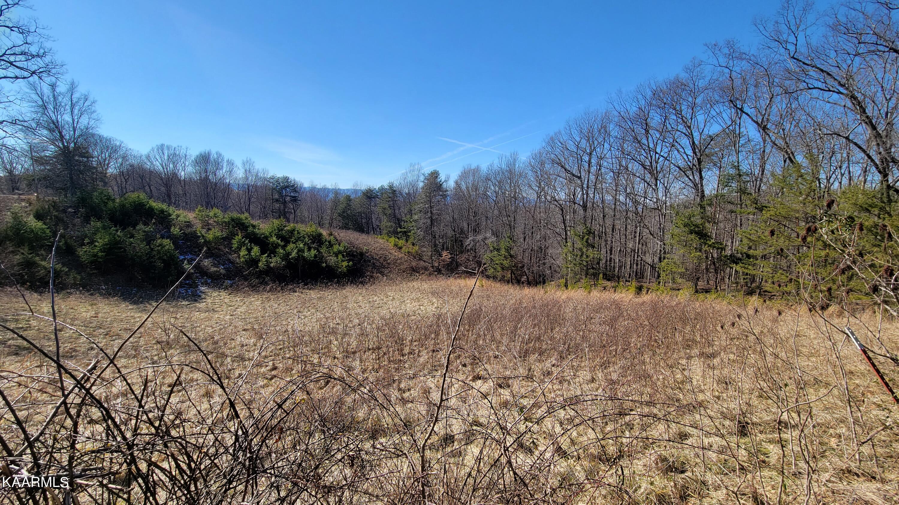 Chestnut Stump Road La Follette, TN 37766 - Photo 7 of 40 7