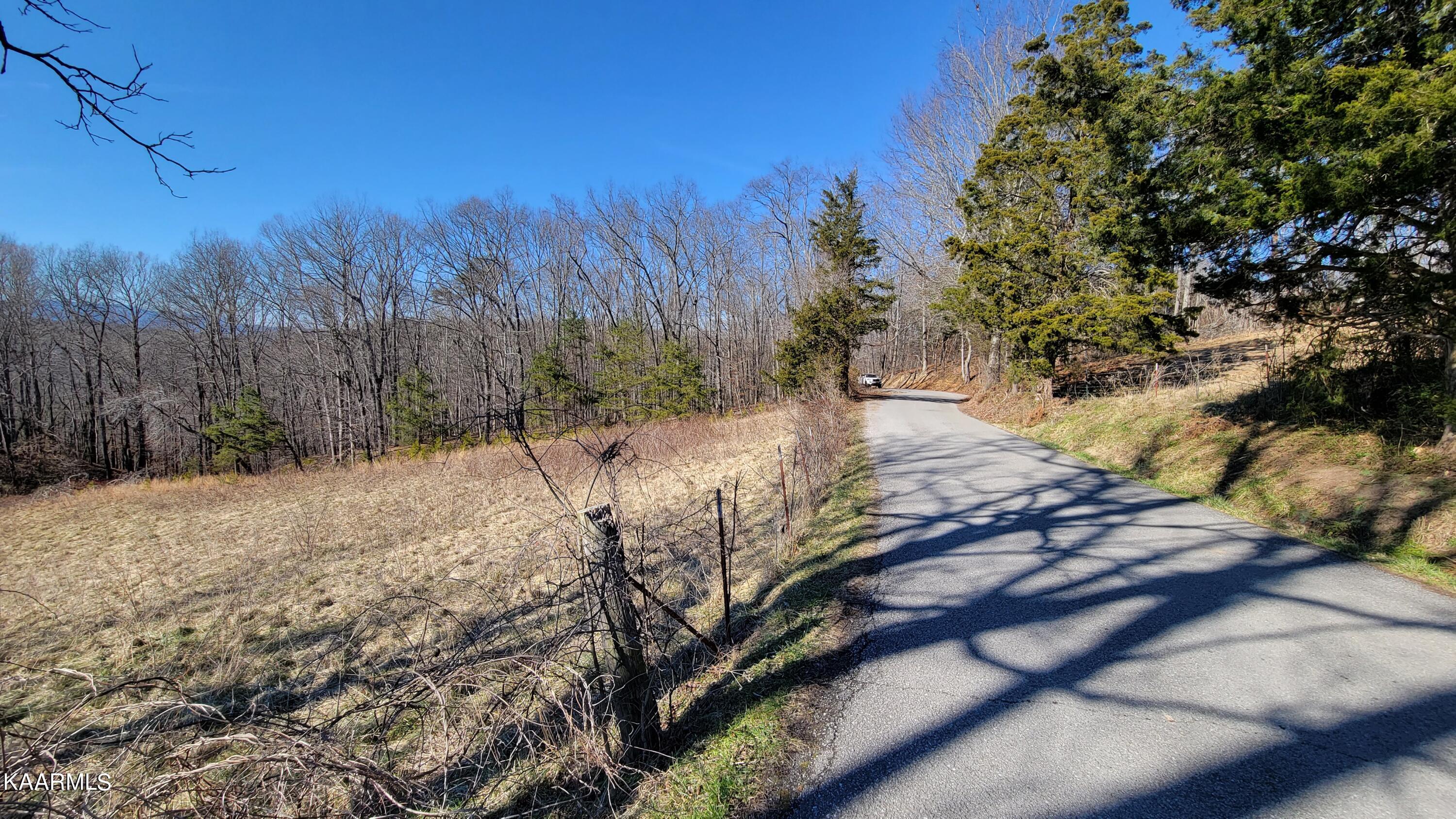 Chestnut Stump Road La Follette, TN 37766 - Photo 8 of 40 8