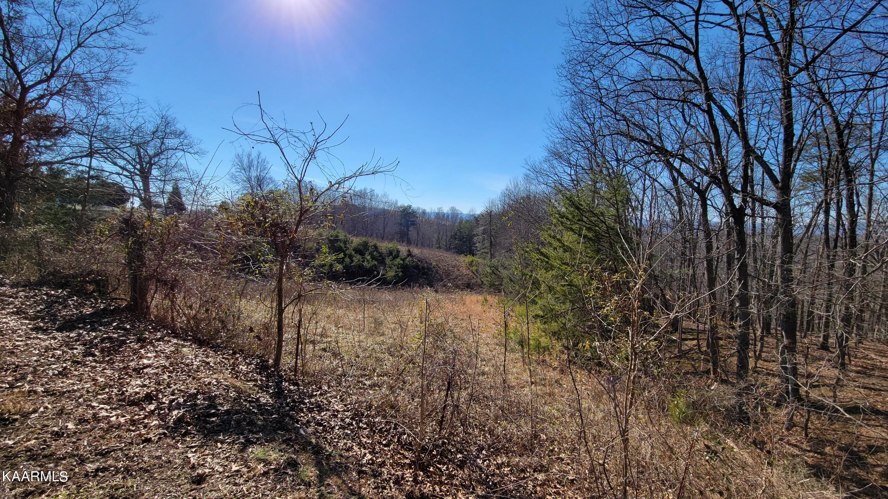 Chestnut Stump Road La Follette, TN 37766 - Photo 9 of 40 9