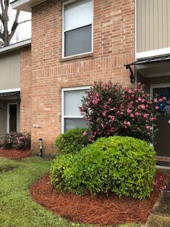 16161 Tiger Bend Road Baton Rouge, LA 70817 - Photo 3 of 17 a view of a backyard with potted plants and a chair