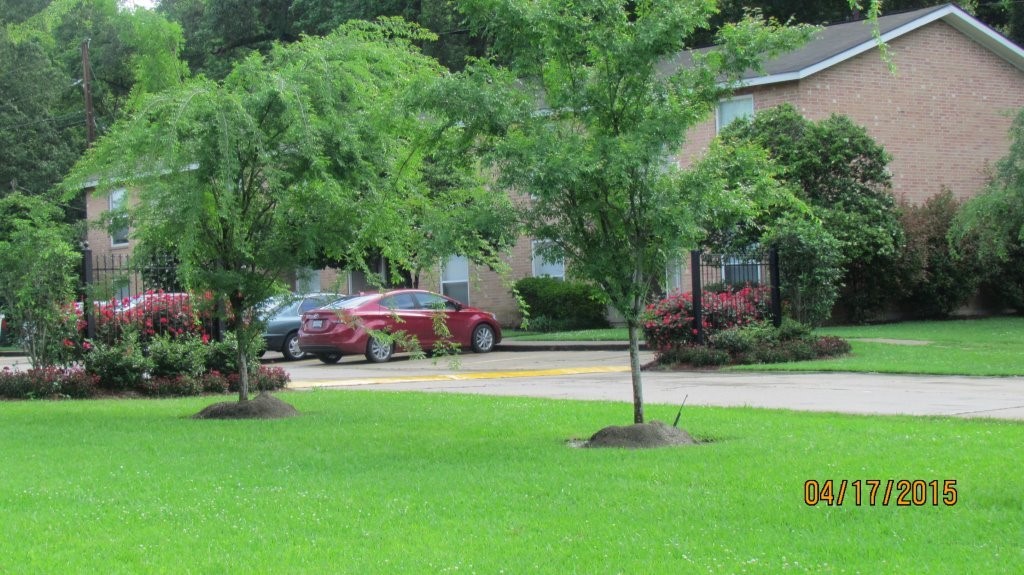 16161 Tiger Bend Road Baton Rouge, LA 70817 - Photo 5 of 17 a childrens park with lots of swings and slides