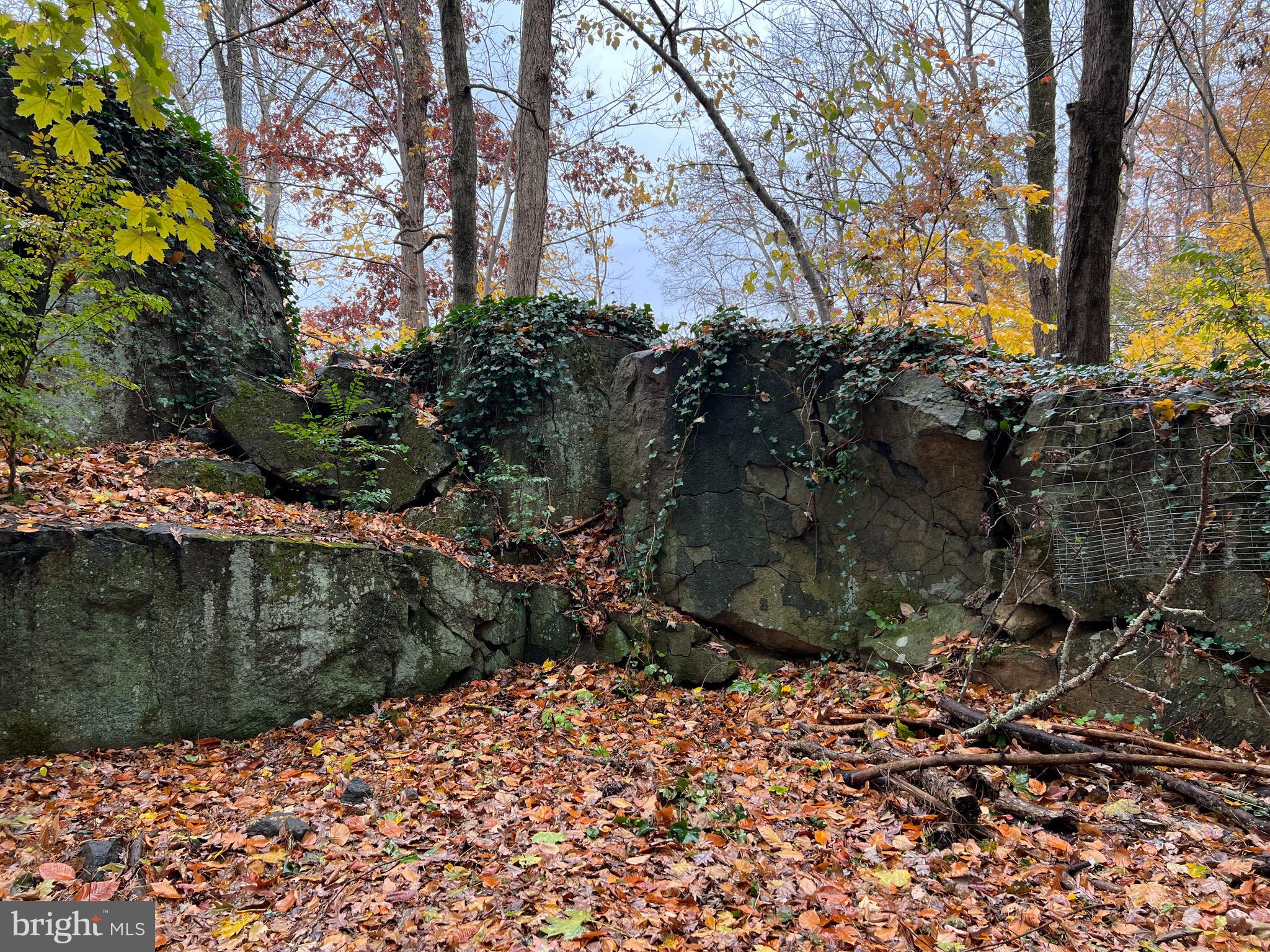 1070 Magazine Road Green Lane, PA 18054 - Photo 23 of 34 Fire Pit