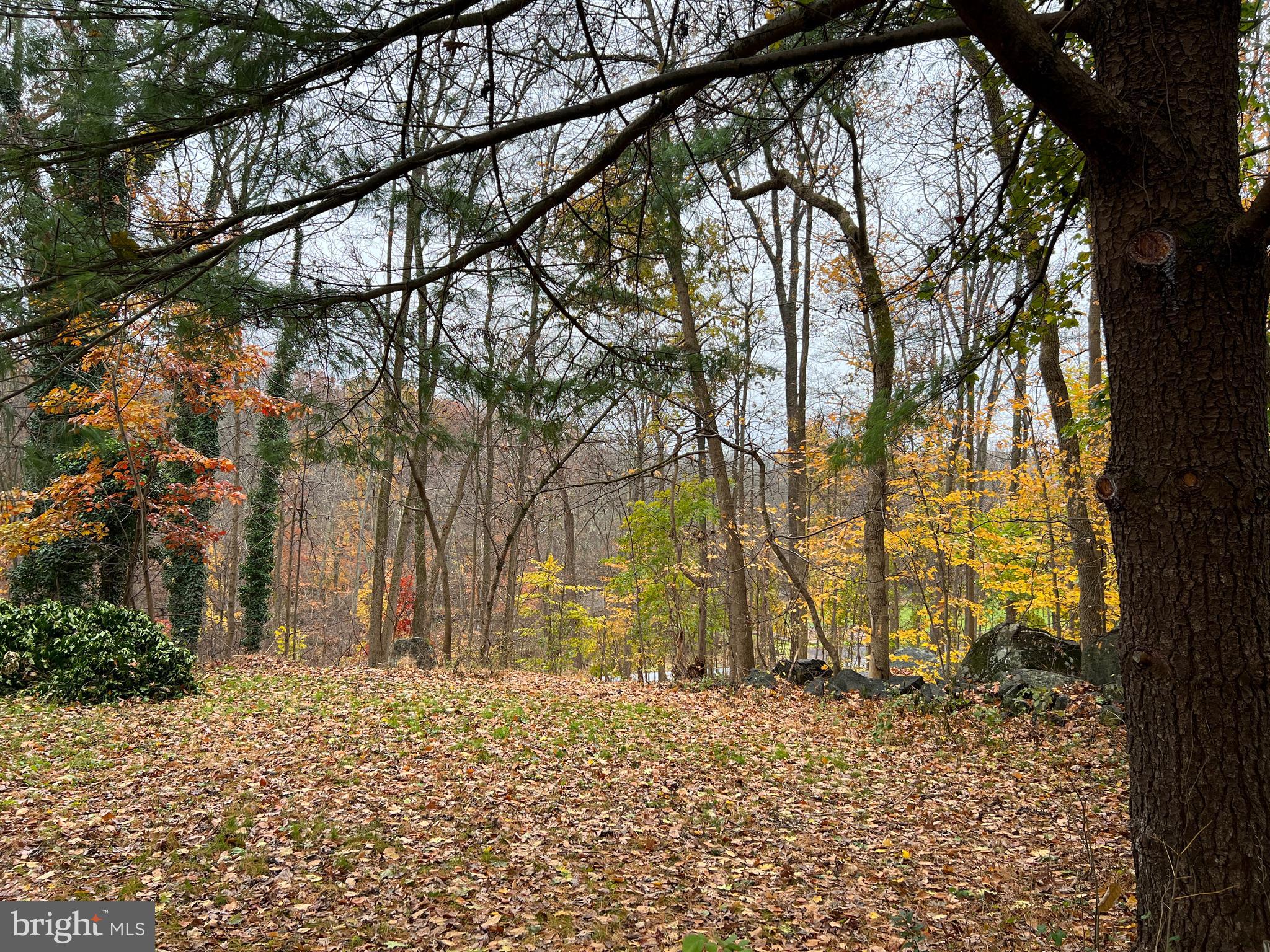 1070 Magazine Road Green Lane, PA 18054 - Photo 26 of 34 Back Yard