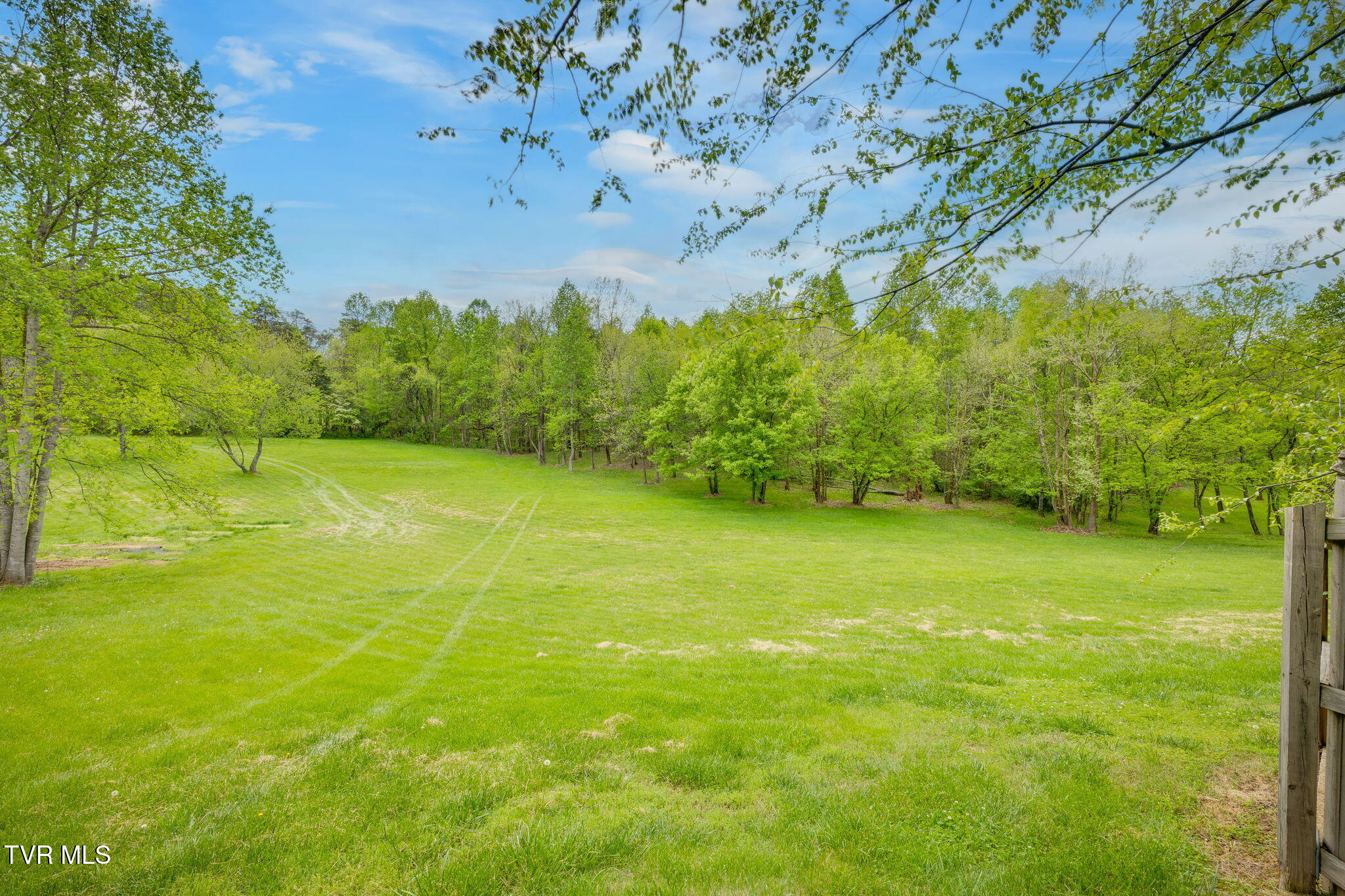 2164 Dave Buck Road Johnson City, TN 37601 - Photo 47 of 64 046