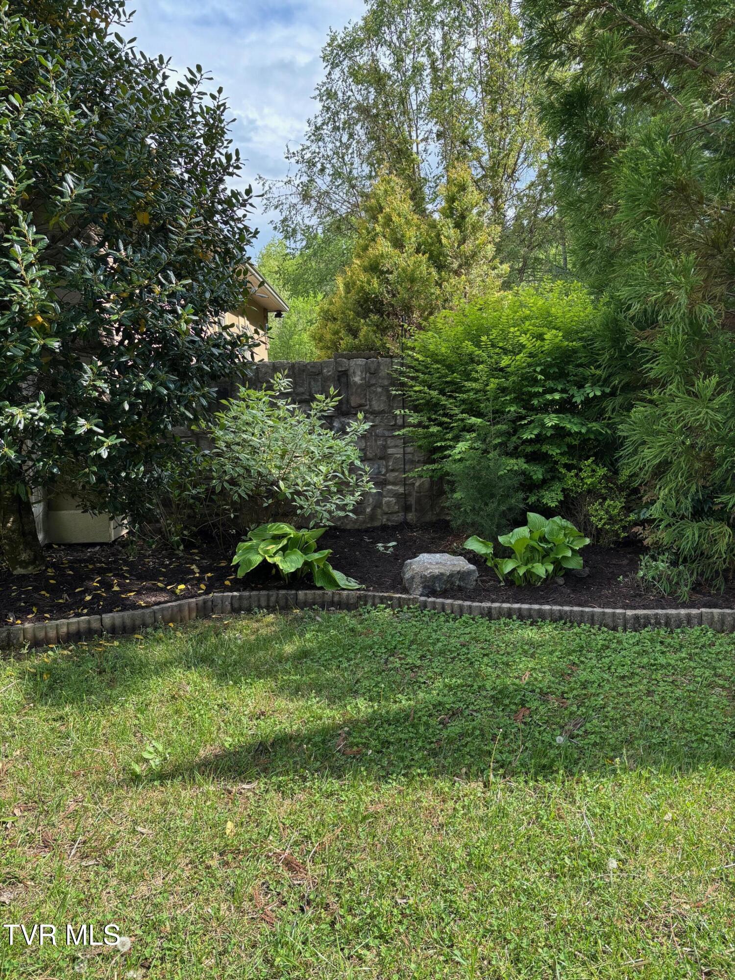 2164 Dave Buck Road Johnson City, TN 37601 - Photo 52 of 64 Back landscaping