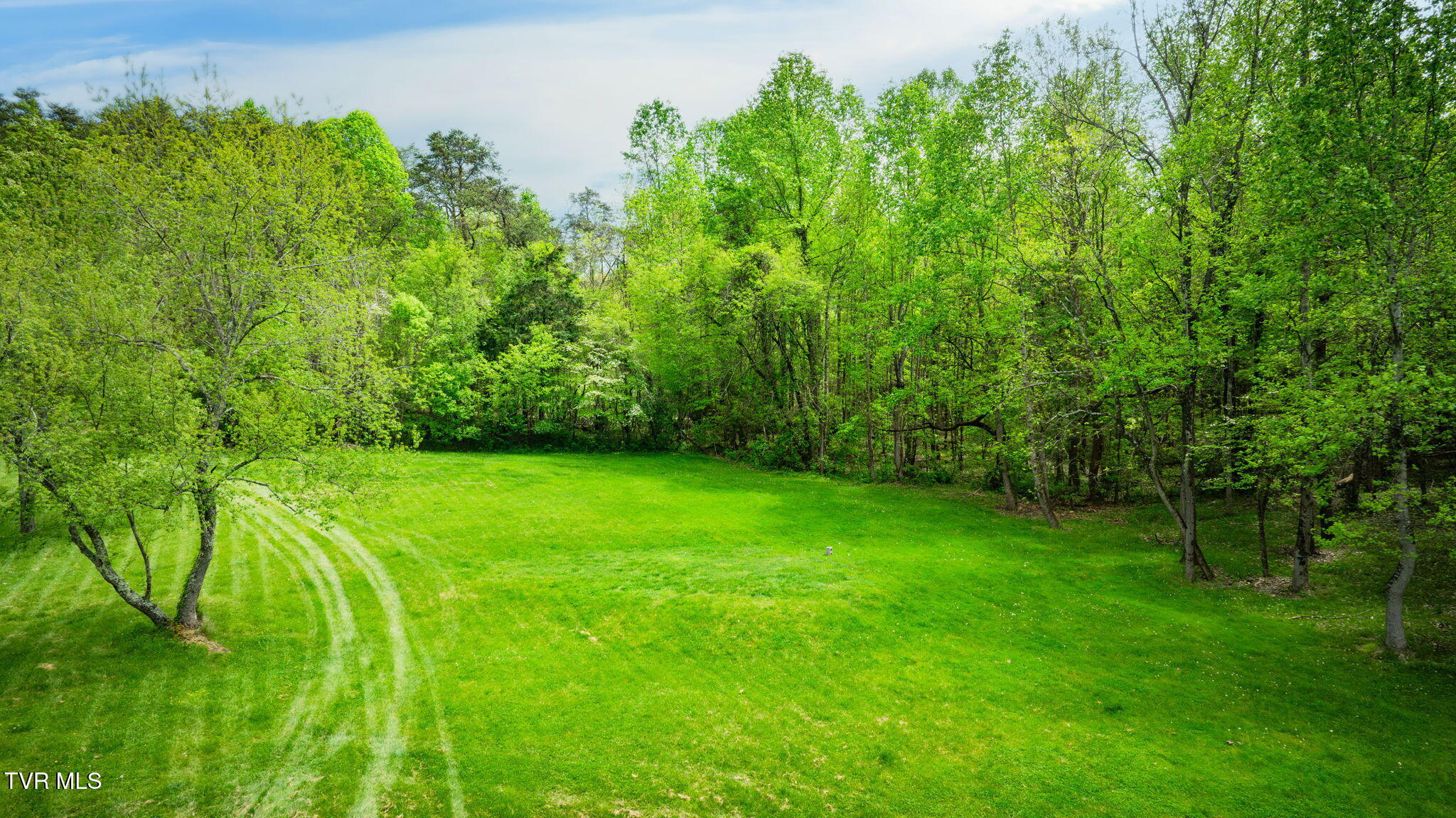 2164 Dave Buck Road Johnson City, TN 37601 - Photo 57 of 64 092