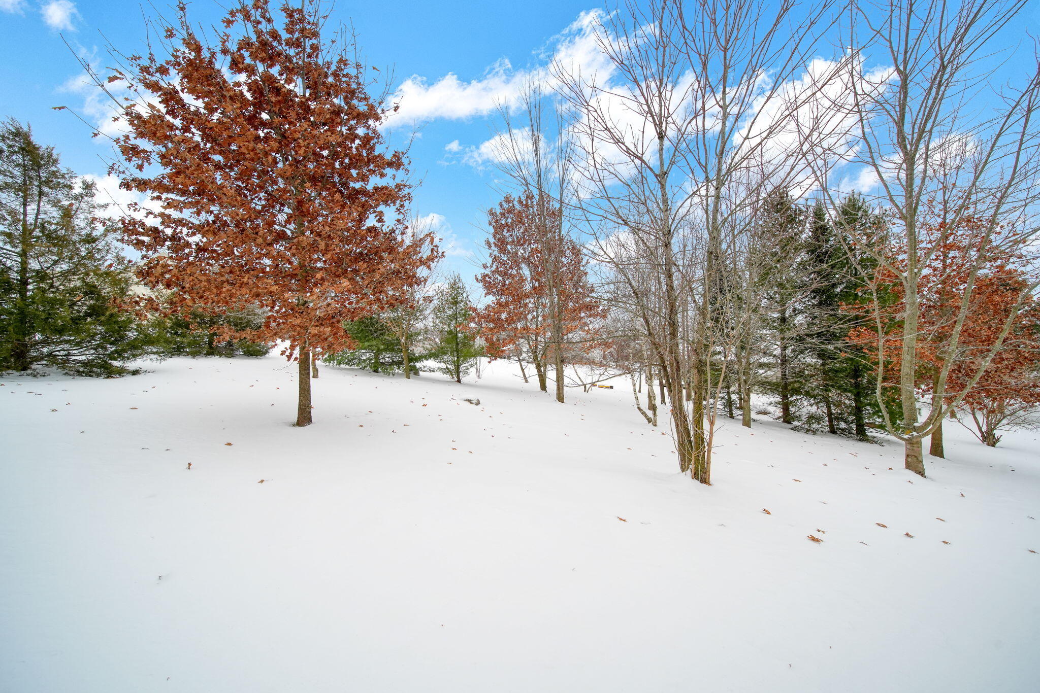 3581 Kehoe Road Clinton, MI 49236 - Photo 43 of 50 43-web-or-mls-DSC09028_HDR
