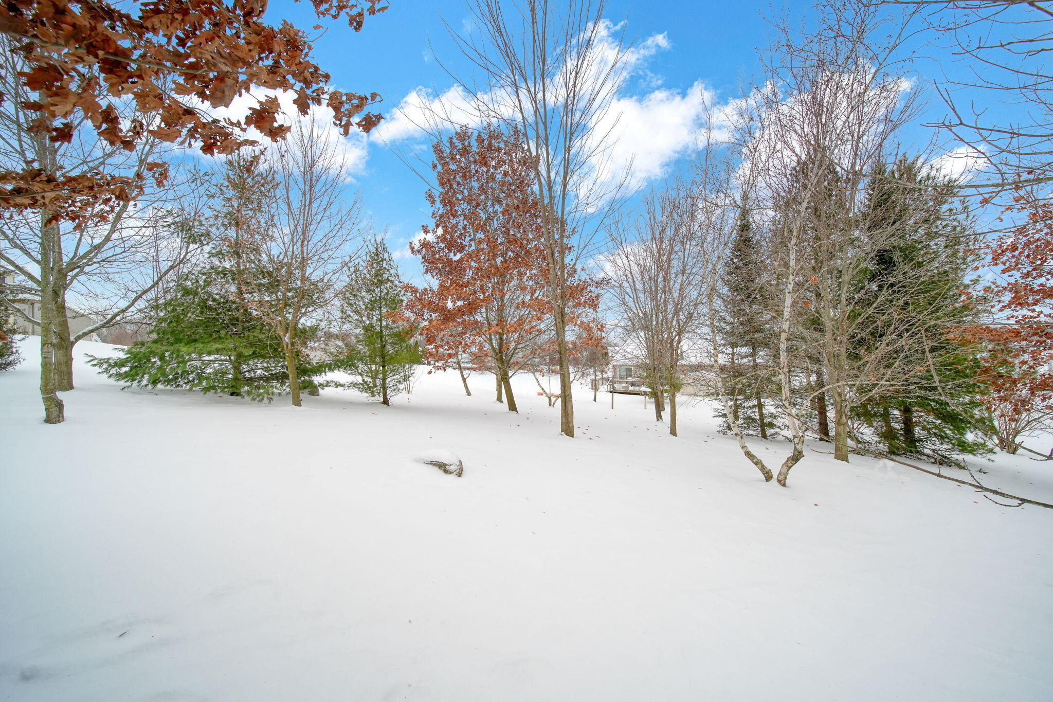 3581 Kehoe Road Clinton, MI 49236 - Photo 7 of 50 44-web-or-mls-DSC09033_HDR