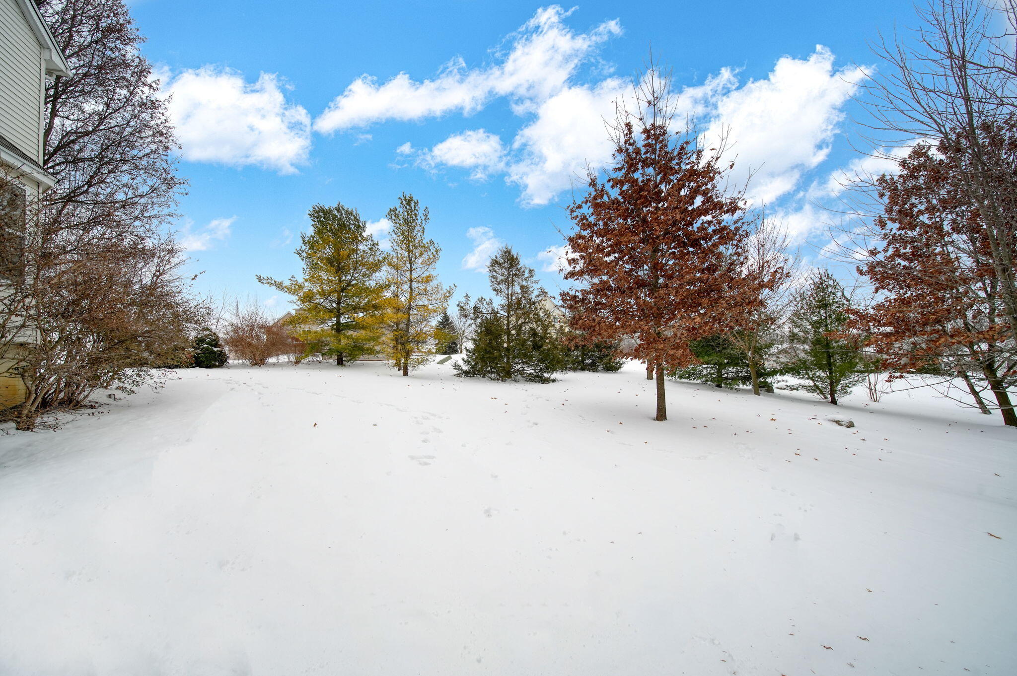 3581 Kehoe Road Clinton, MI 49236 - Photo 8 of 50 45-web-or-mls-DSC09048_HDR