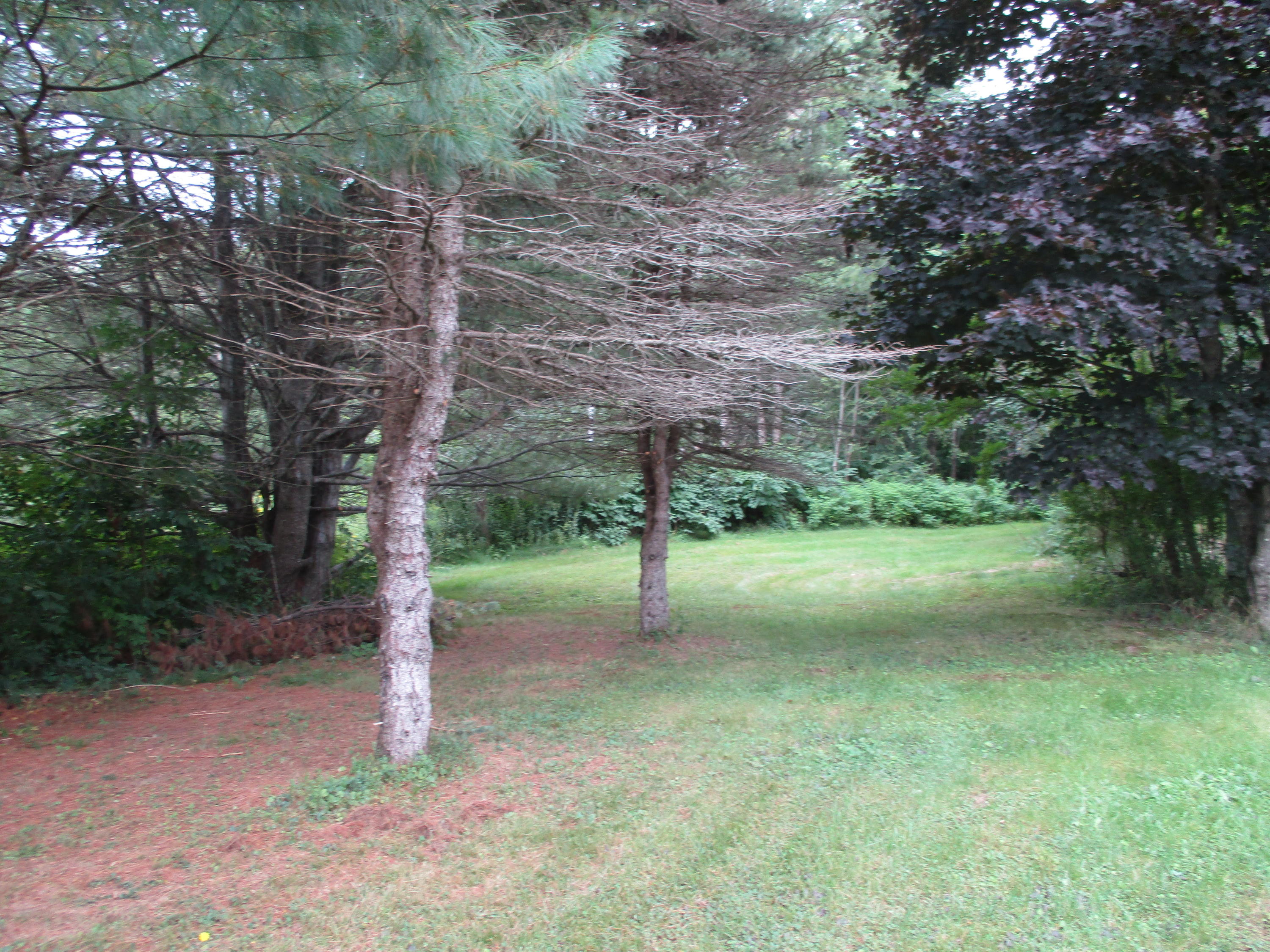 772 Rome Road Mercer, ME 04957 - Photo 11 of 46 back yard2