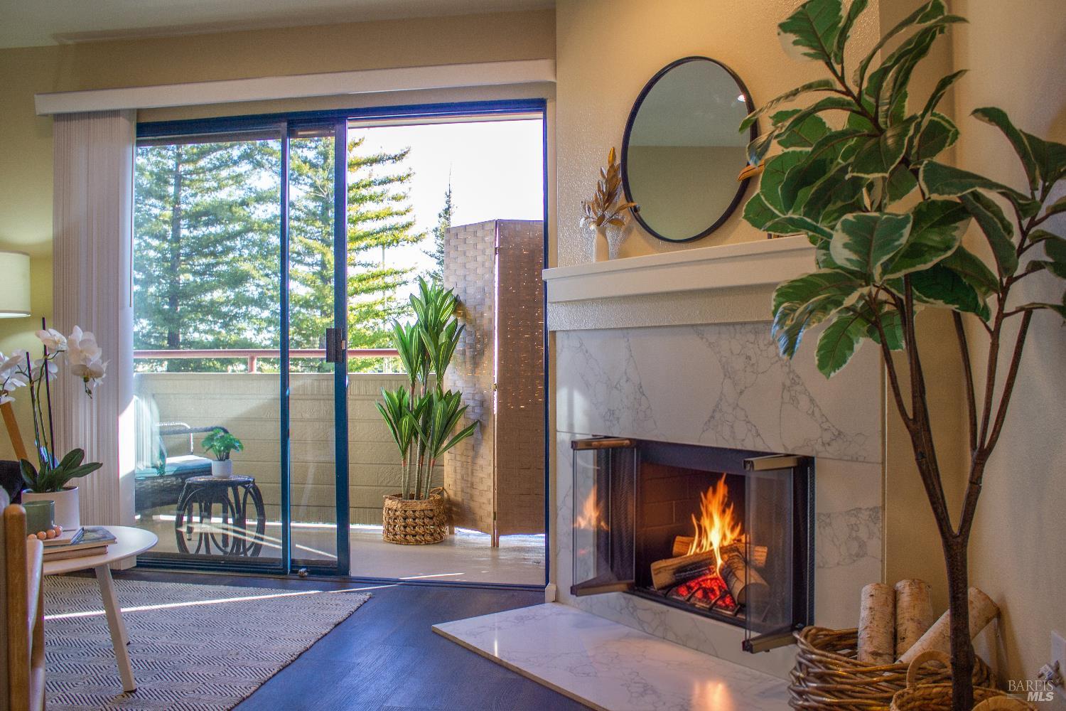 a living room with furniture a fireplace and a floor to ceiling window