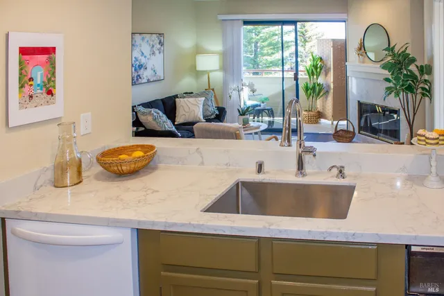 a kitchen with a sink and a potted plant