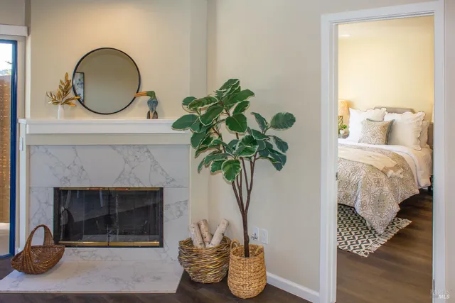 a living room with furniture and a potted plant