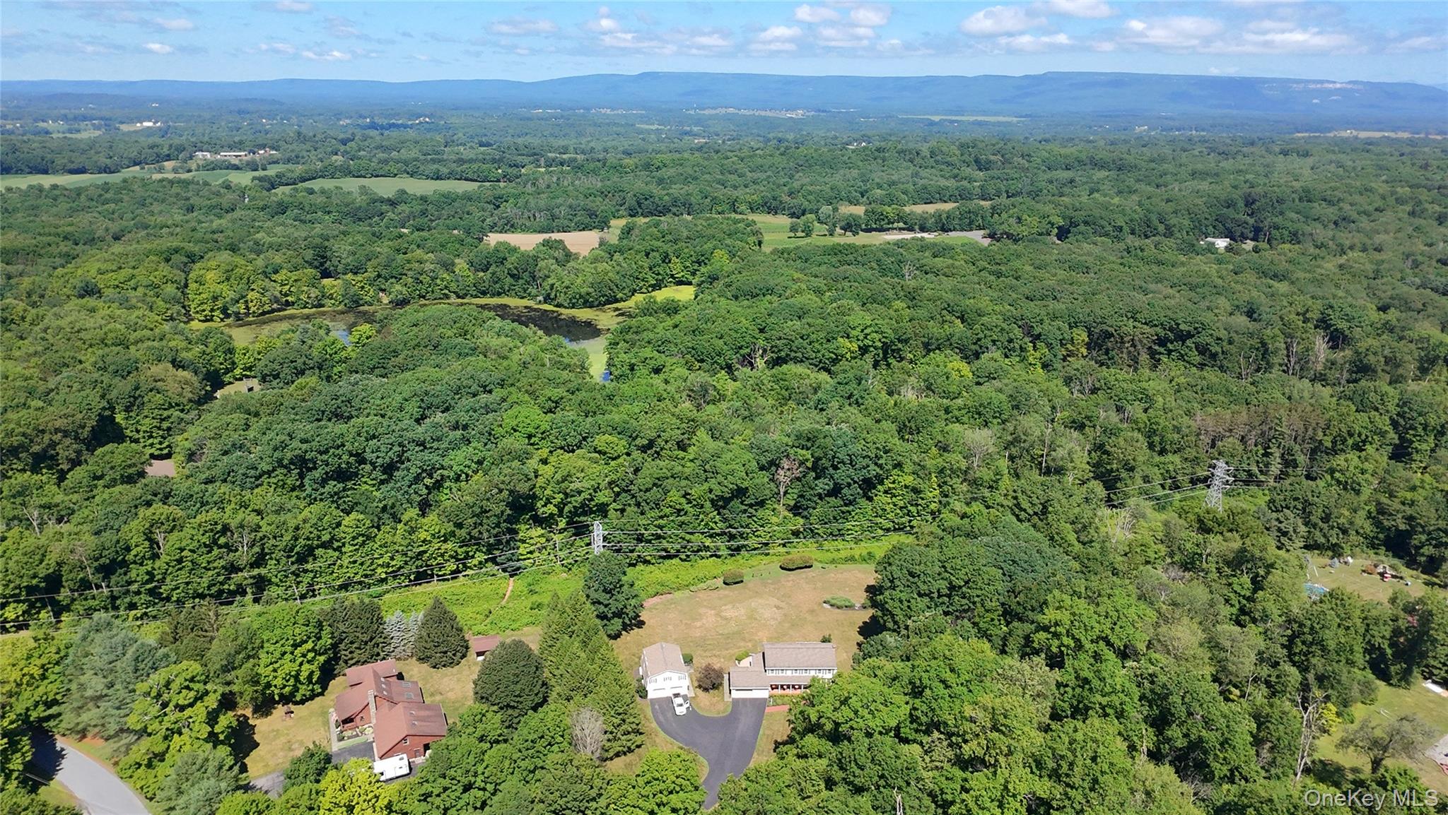 173 St Elmo Road Wallkill, NY 12589 - Photo 4 of 18