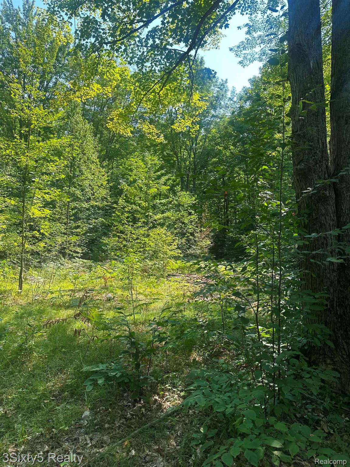 0 Ky Highway Frederic, MI 49733 - Photo 21 of 25 att.x9pGjlAHlgRmpUJPDTpf6NsWA86Dc2QV7AfJRjb2pdY.jpg