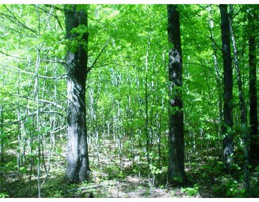 28 Carrabassett Road North Anson, ME 04958 - Photo 4 of 9 Land. View of land