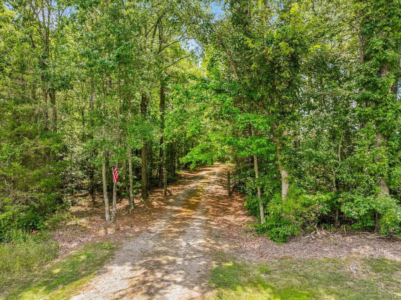 2955 Dewitt Smith Road Pittsboro, NC 27312 - Photo 41 of 50 Driveway