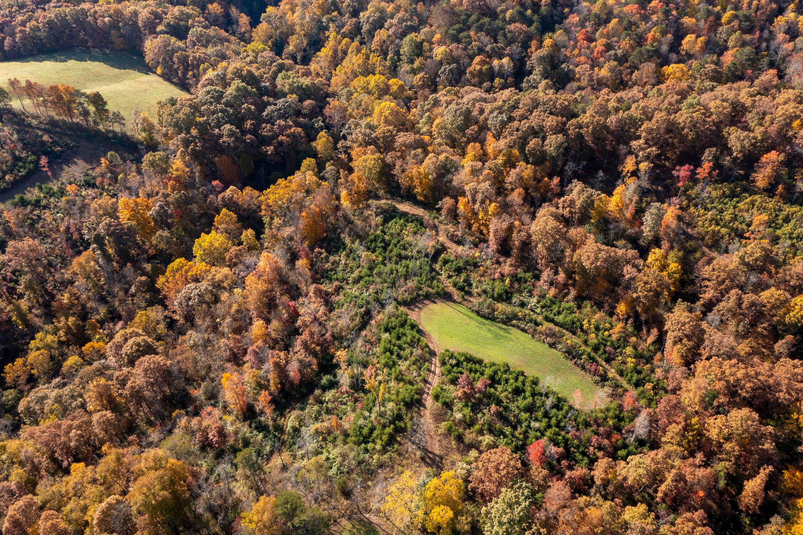 1426 Sealy Ridge Road Vincent, OH 45784 - Photo 13 of 52 DJI_0766-66
