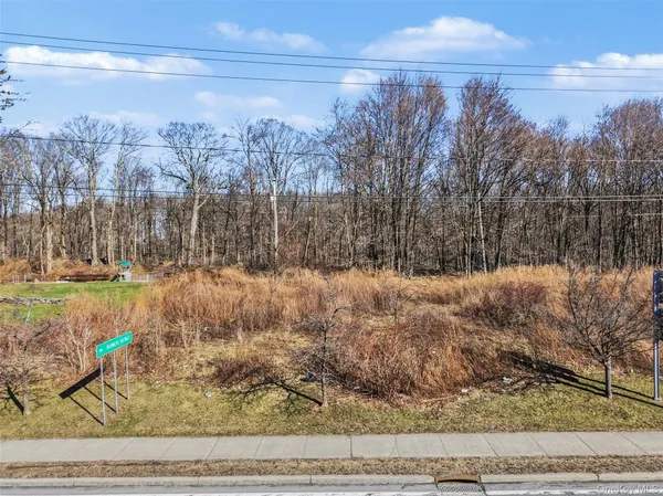 a view of snow covered with trees