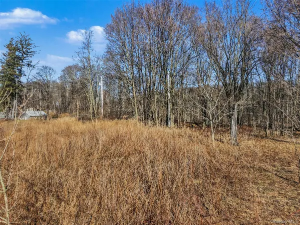 a view of snow covered with trees