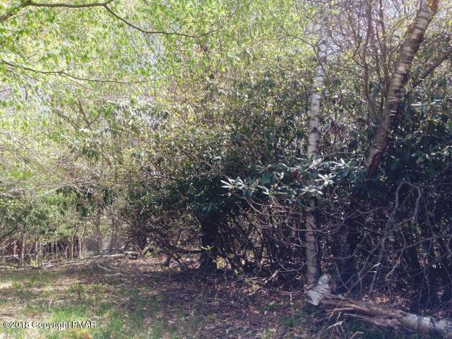 3 Canoe Brook Road Pocono Pines, PA 18350 - Photo 1 of 1 a view of a forest with large trees