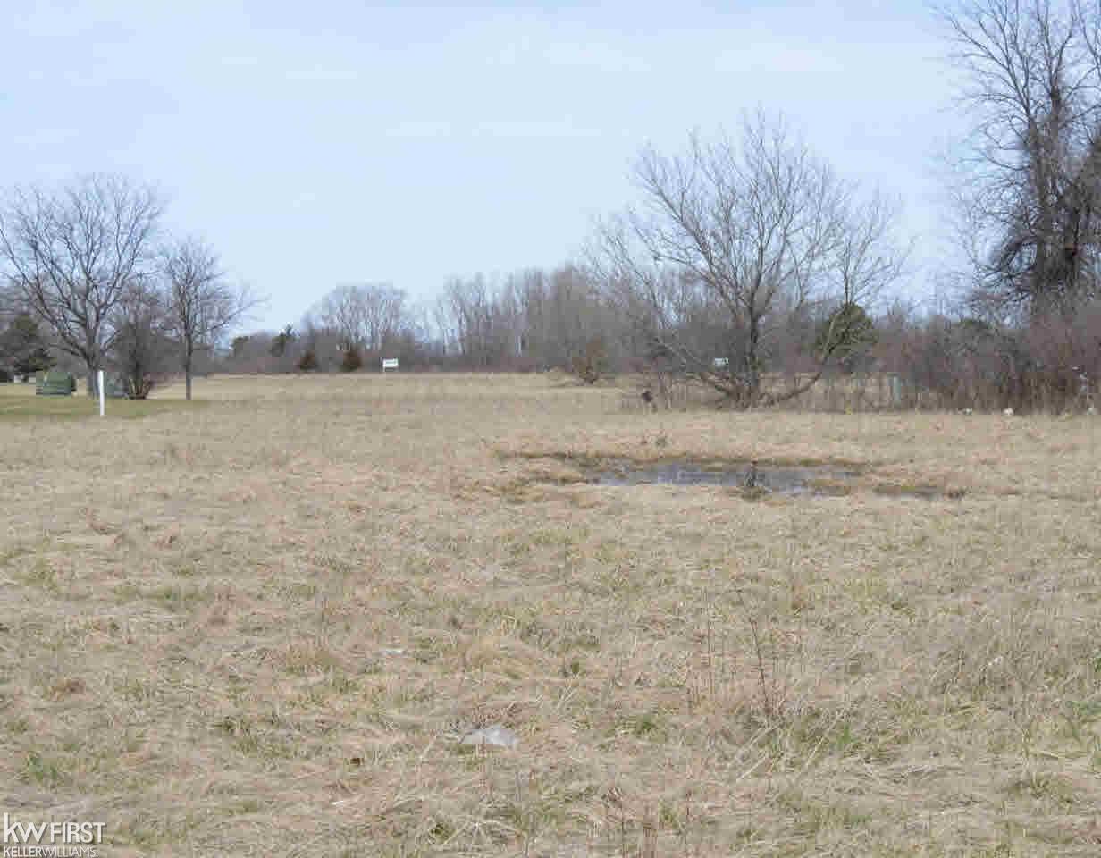 0 Walli Strasse Road Burton, MI 48509 - Photo 2 of 5
