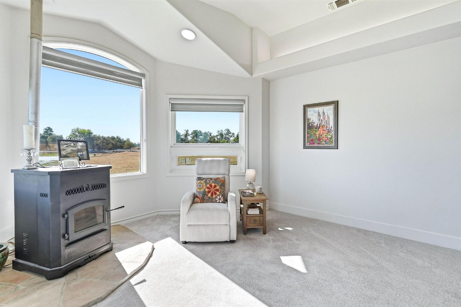 11255 Green Road Wilton, CA 95693 - Photo 34 of 75 Gallery Image 34