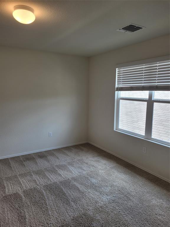 14917 Gypsum Mill Road Manor, TX 78653 - Photo 28 of 28 A well-lit room showcasing plush carpeting and a wide window with blinds.