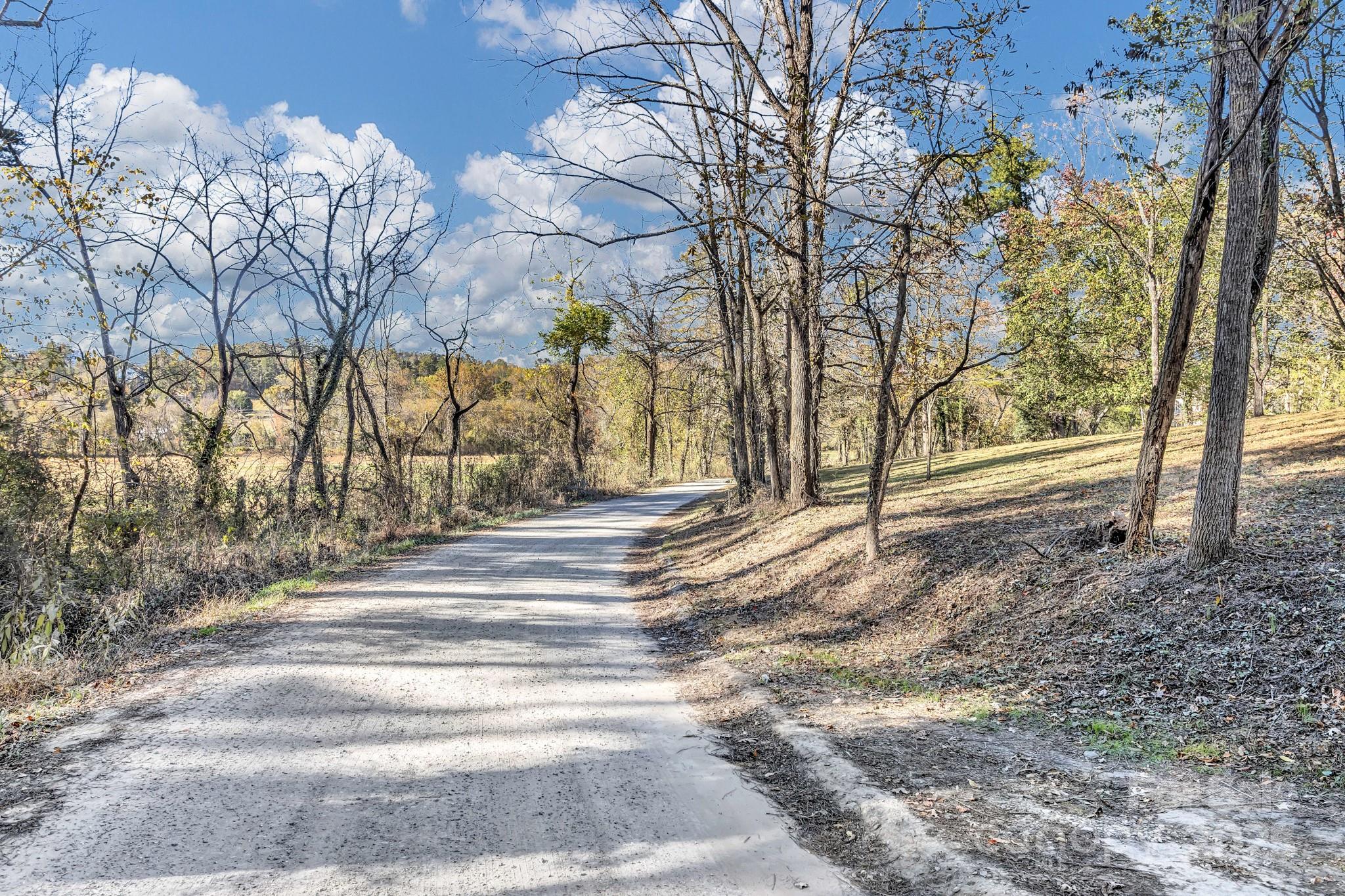 143 Sharon Road Fairview, NC 28730 - Photo 12 of 36 a view of park with large trees