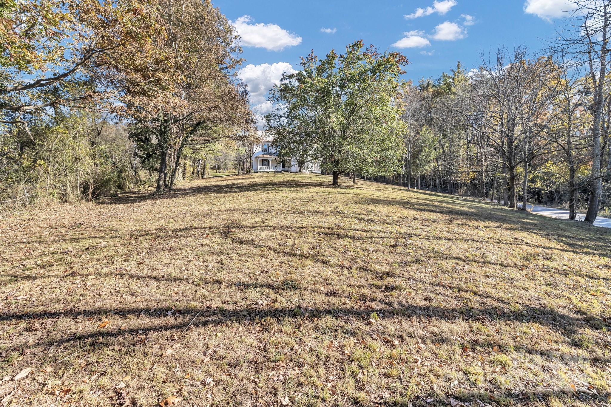 143 Sharon Road Fairview, NC 28730 - Photo 4 of 36 a view of yard with trees