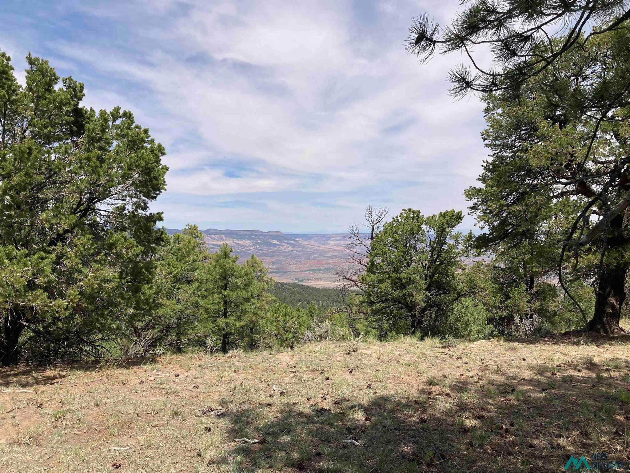 1 Forest Rd100 Road Canones, NM 87516 - Photo 33 of 39 Gallery Image 33