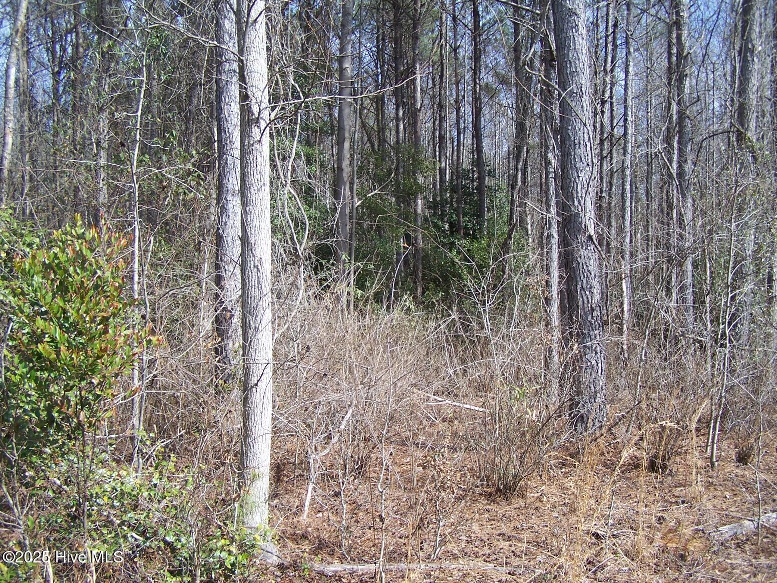 Tbd Bennett Road Ellerbe, NC 28338 - Photo 7 of 12 lot