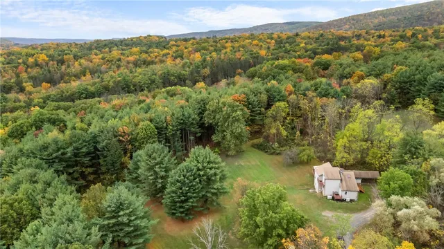 $450,000 | 7356 Mitchellsville Hill Road, Bath, NY 14810