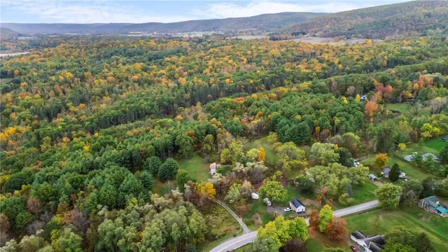 $450,000 | 7356 Mitchellsville Hill Road, Bath, NY 14810