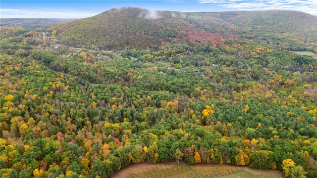 $450,000 | 7356 Mitchellsville Hill Road, Bath, NY 14810