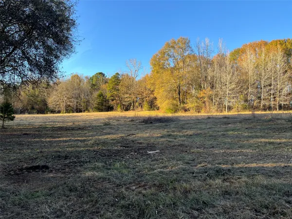 a view of dirt field with trees in the background