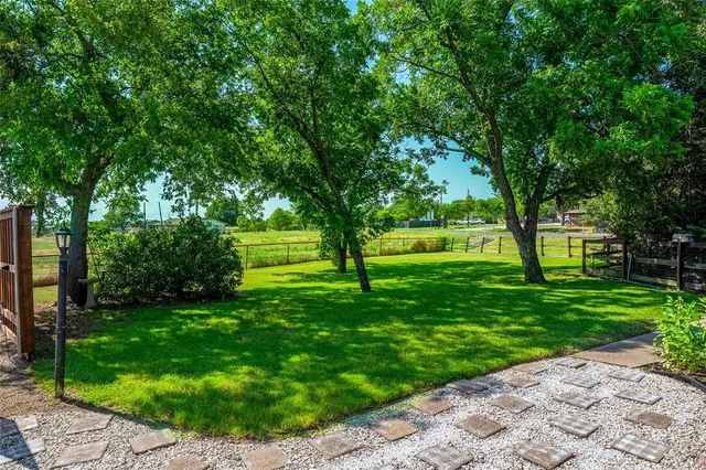 a huge green field with lots of trees