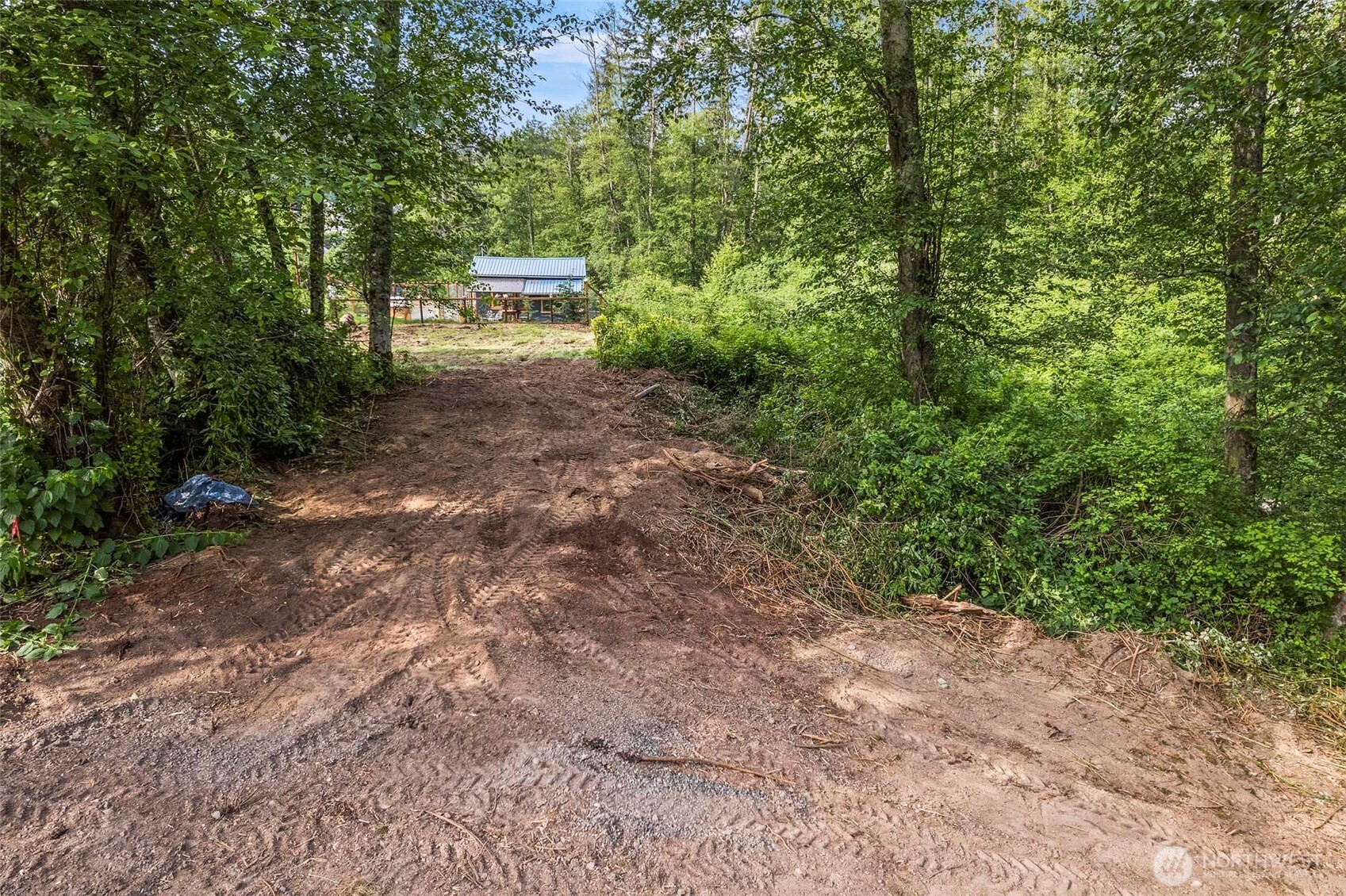 -xxx Osprey Road, Unit 151 Freeland, WA 98249 - Photo 3 of 7 a view of a yard with plants and trees