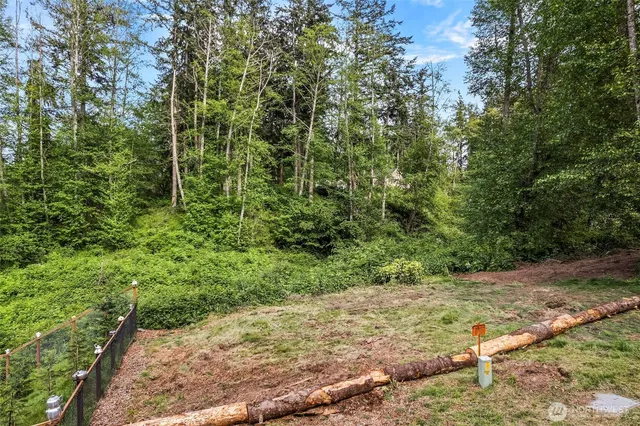 a view of a large yard with lots of green space